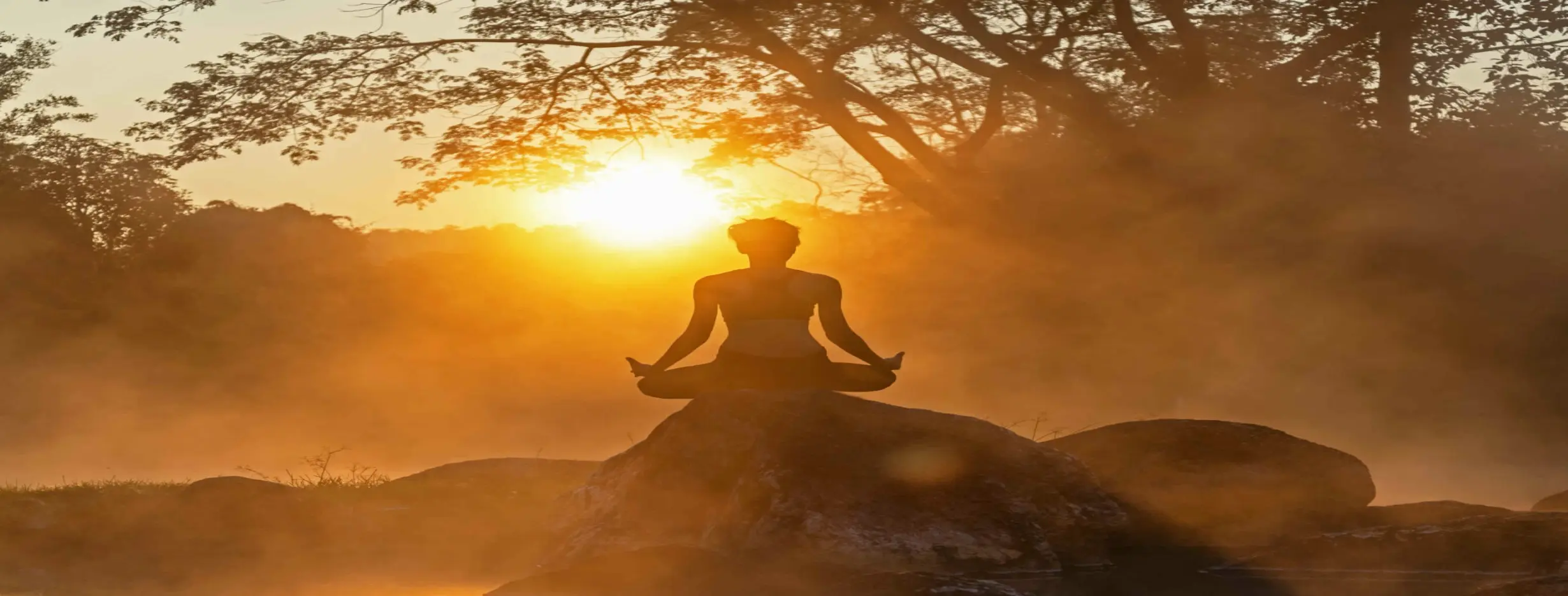 Image for Peaceful Environment